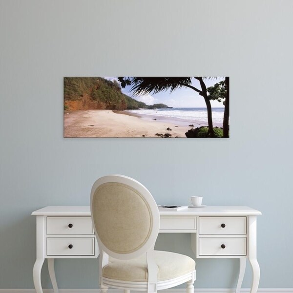 Easy Art Prints Panoramic Images's 'Tree on the beach, Lelekea Beach, Hana, Maui, Hawaii, USA' Premium Canvas Art