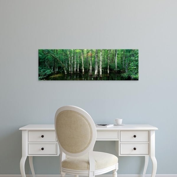 Easy Art Prints Panoramic Images's 'Big Cypress Nature Preserve, Florida, USA' Premium Canvas Art