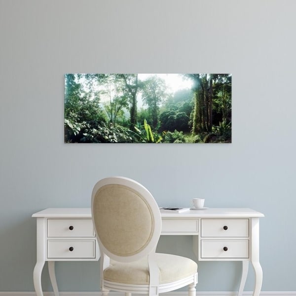 Easy Art Prints Panoramic Images's 'Vegetation in a forest, Chiang Mai Province, Thailand' Premium Canvas Art