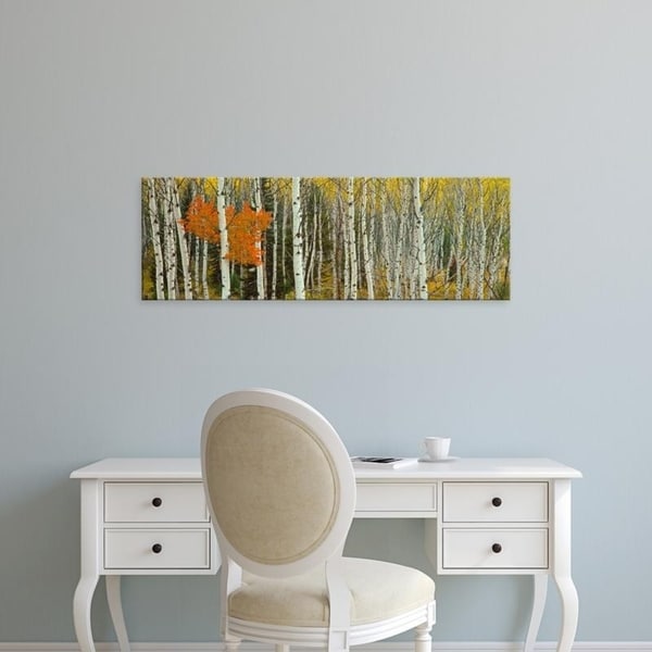 Easy Art Prints Panoramic Images's 'Aspen trees in a forest, Valley Trail, Grand Teton National Park, Wyoming' Canvas Art