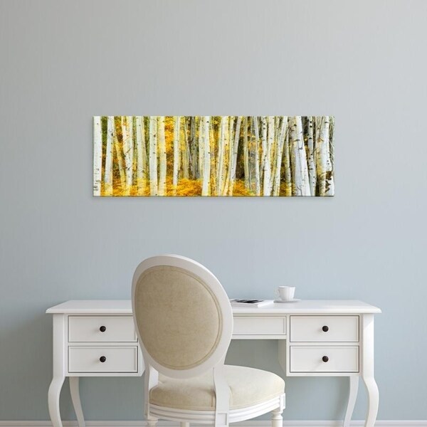 Easy Art Prints Panoramic Images's 'Aspen grove, Phelps Lake, Grand Teton National Park, Wyoming' Canvas Art