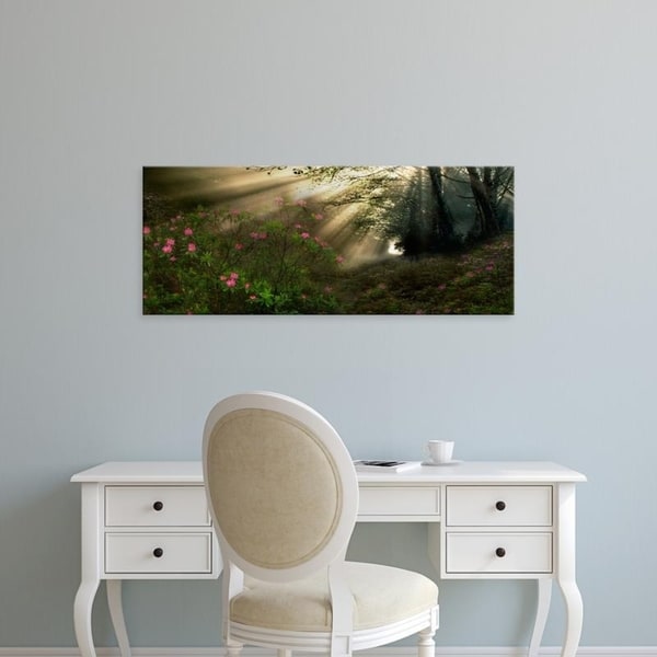 Easy Art Prints Panoramic Images's 'Sun shining through trees in a forest' Premium Canvas Art
