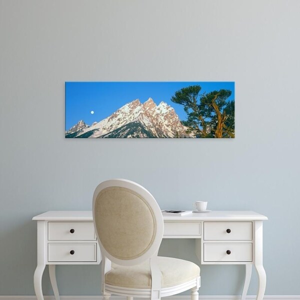 Easy Art Prints Panoramic Images's 'Old Patriarch tree, Cathedral Group of the Teton Range, Teton, Wyoming' Canvas Art