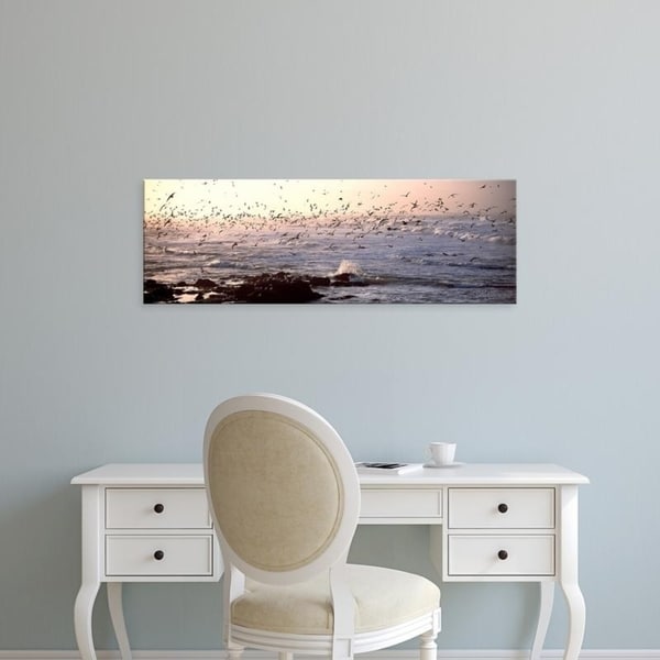 Easy Art Prints Panoramic Images's 'Seagulls flying at a coast, Baie De Quiberon, Morbihan, Brittany, France' Canvas Art