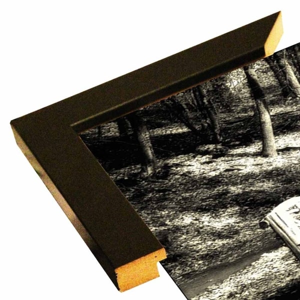 Bear Mtn Lake - Mono-HARLAN66949 Print 9"x26" by Harold Silverman - Landscapes