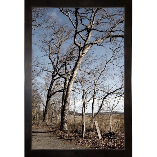 Winter Family Of Trees-HARTRE90067 Print 20.25"x13.25" by Harold Silverman - Trees & Old Fences