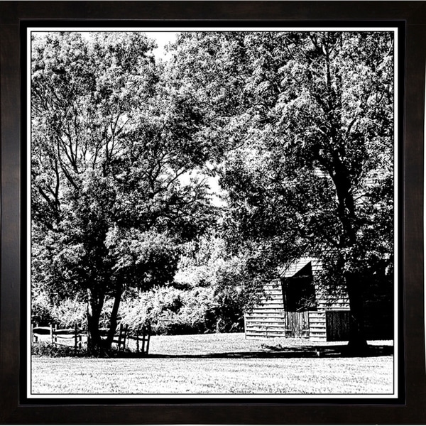 Country Living-HARTRE87177 Print 20"x20" by Harold Silverman - Trees & Old Fences