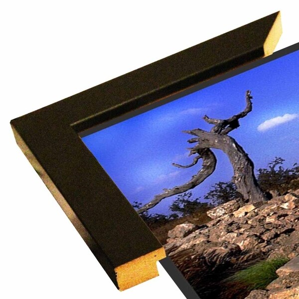 Biblical Tree Of Caeserea1-HARBUI53750 Print 9"x16" by Harold Silverman - Buildings & Cityscapes