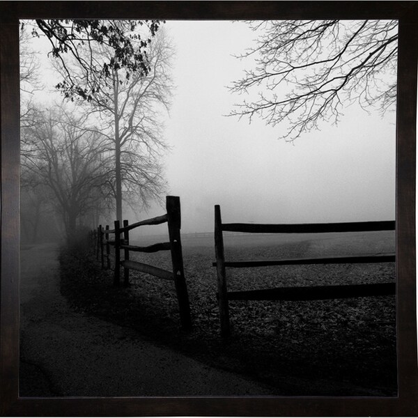 Along The Walkway-HARTRE67473 Print 16"x16" by Harold Silverman - Trees & Old Fences