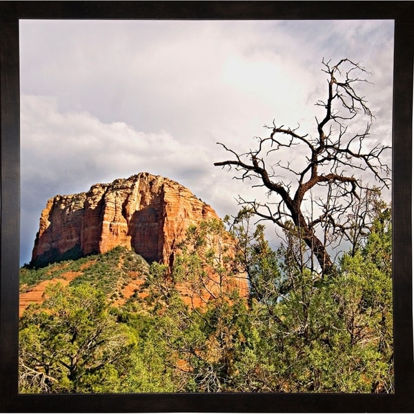Mtn. Peak With Foliage-HARLAN78299 Print 19"x19" by Harold Silverman - Landscapes