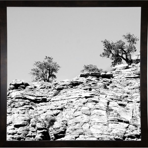 Twin Tips Of Tree B/W-HARLAN78292 Print 20"x20" by Harold Silverman - Landscapes