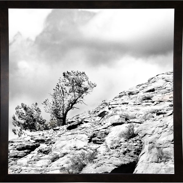 Simple Tree At The Top B/W-HARLAN78294 Print 20"x20" by Harold Silverman - Landscapes