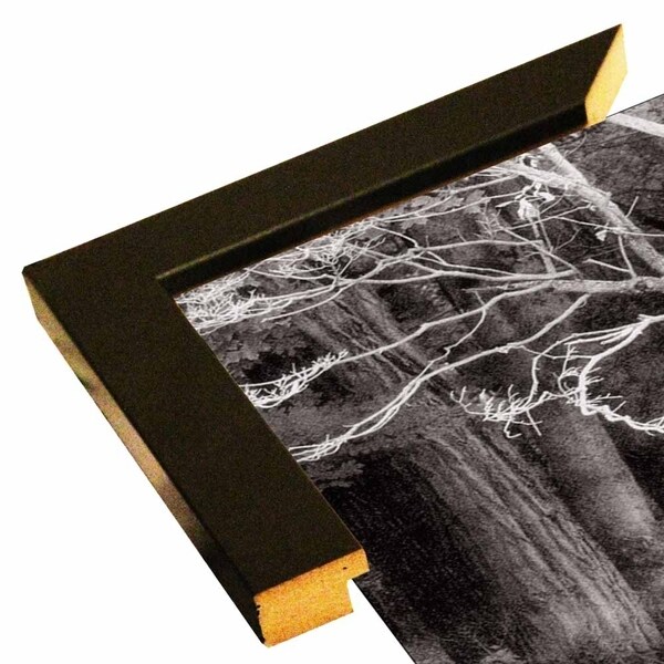 Bare Branches & Woods-3 Tone-HARTRE66947 Print 15"x25" by Harold Silverman - Trees & Old Fences