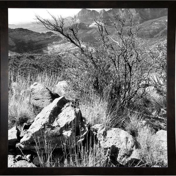 View From Mountain Top B & W-HARLAN78724 Print 20"x20" by Harold Silverman - Landscapes