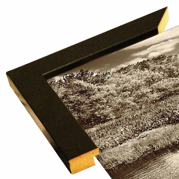 Everglade Waters - Colorise-HARLAN74746 Print 10"x27" by Harold Silverman - Landscapes