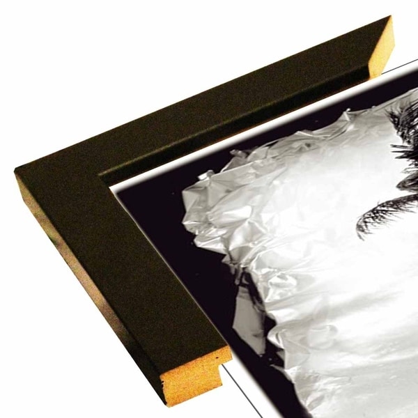 Single Palm-HARBEA53563 Print 17"x10.25" by Harold Silverman - Beach, Palms & Lighthouses