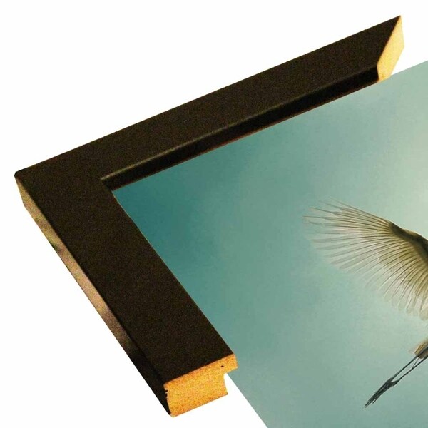 Egret Overhead-JAIJOH140337 Print 20"x20" by Jai Johnson