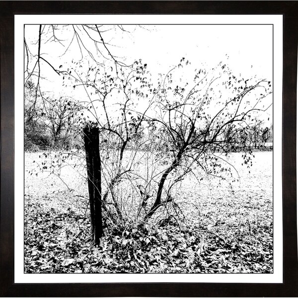 Brookville Ny Winter-HARLAN86898 Print 20"x20" by Harold Silverman - Landscapes