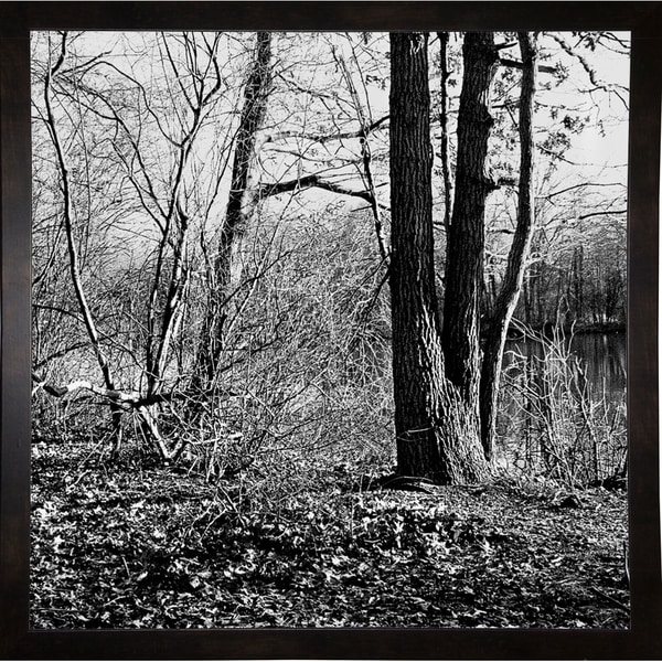 Winter Woods-HARTRE70316 Print 18"x18" by Harold Silverman - Trees & Old Fences