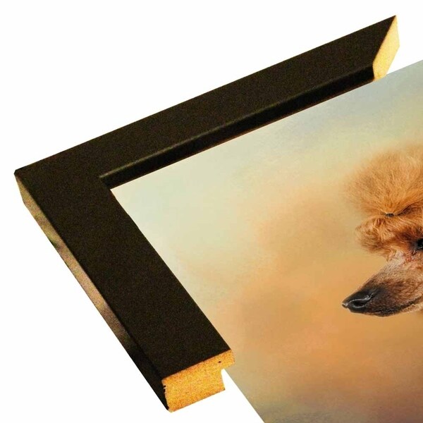 Enjoying The Breeze Apricot Poodle-JAIJOH140338 Print 20"x20" by Jai Johnson