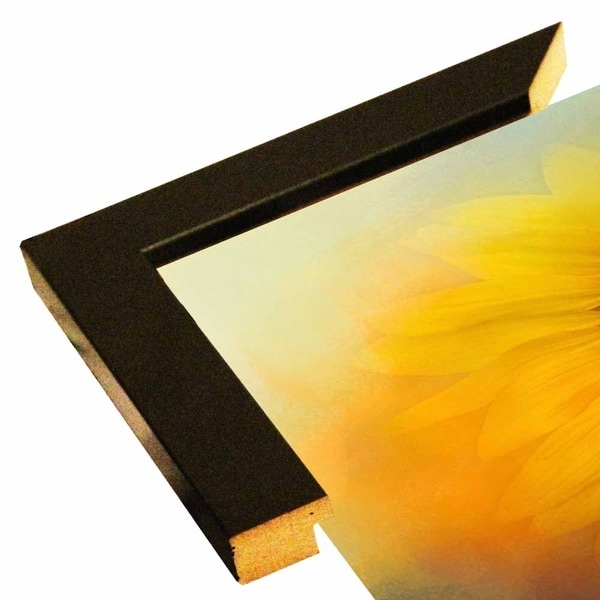 Sunflower Surprise-JAIJOH140371 Print 20"x20" by Jai Johnson
