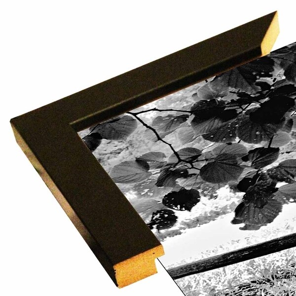 Broken Fence 2-HARTRE68986 Print 10"x21" by Harold Silverman - Trees & Old Fences