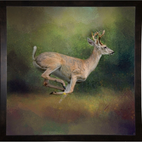 Buck On The Run-JAIJOH139699 Print 20"x20" by Jai Johnson