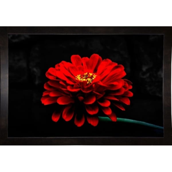 Exotic Red Flower-HARFLO53551 Print 10"x15" by Harold Silverman - Flowers