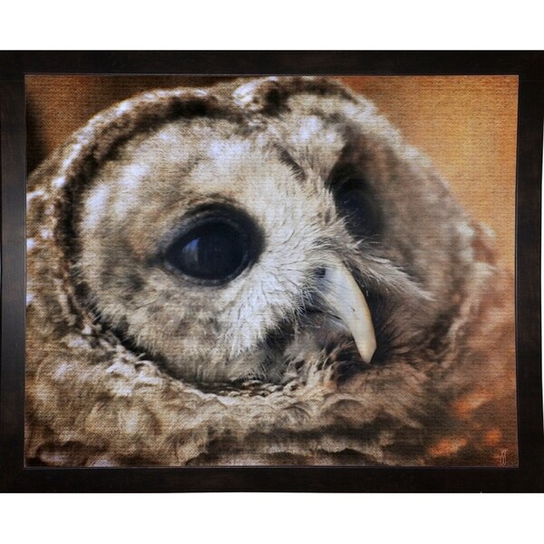 Barred Owl-JAIJOH139665 Print 10.75"x13.25" by Jai Johnson