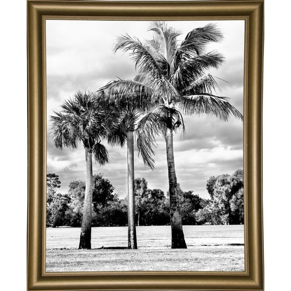 3 Trees of Scenic Beauty-HARBEA96301 Print 20.25"x16" by Harold Silverman - Beach, Palms & Lighthouses
