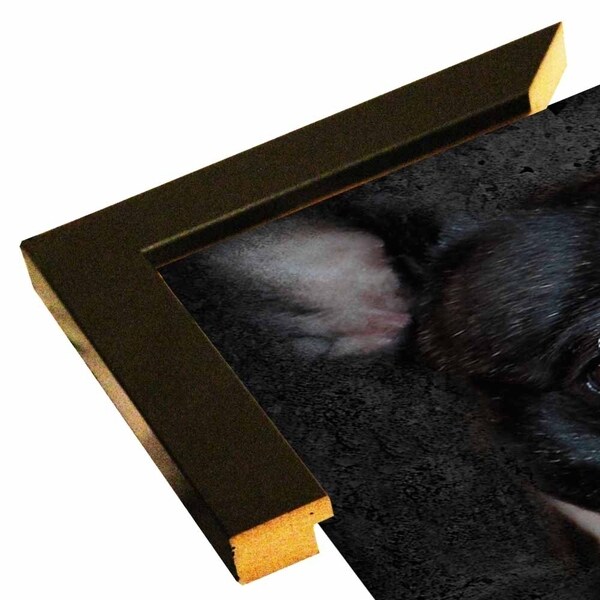 Boston Terrier Portrait-JAIJOH139691 Print 10.75"x13.25" by Jai Johnson