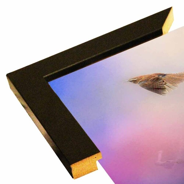 Carolina Wrens-JAIJOH140331 Print 13.25"x20" by Jai Johnson
