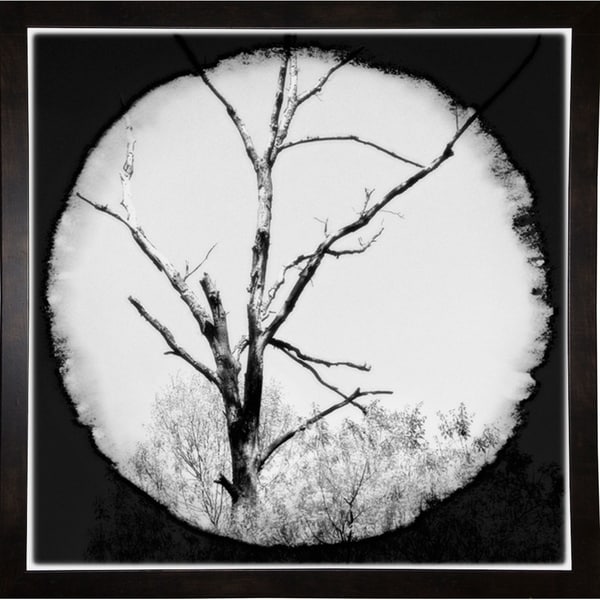 Natures View B&W-HARTRE58992 Print 18.25"x18.25" by Harold Silverman - Trees & Old Fences