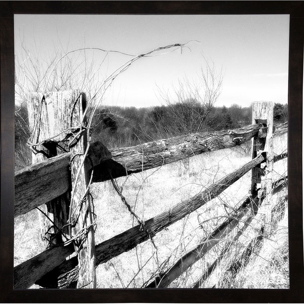 Hand Made Fence-HARTRE77626 Print 20"x20" by Harold Silverman - Trees & Old Fences