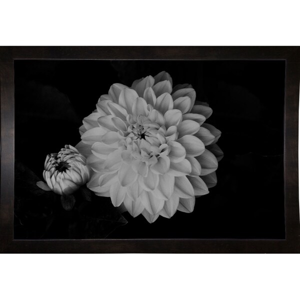 Exotic Pair-HARFLO58527 Print 12"x18" by Harold Silverman - Flowers