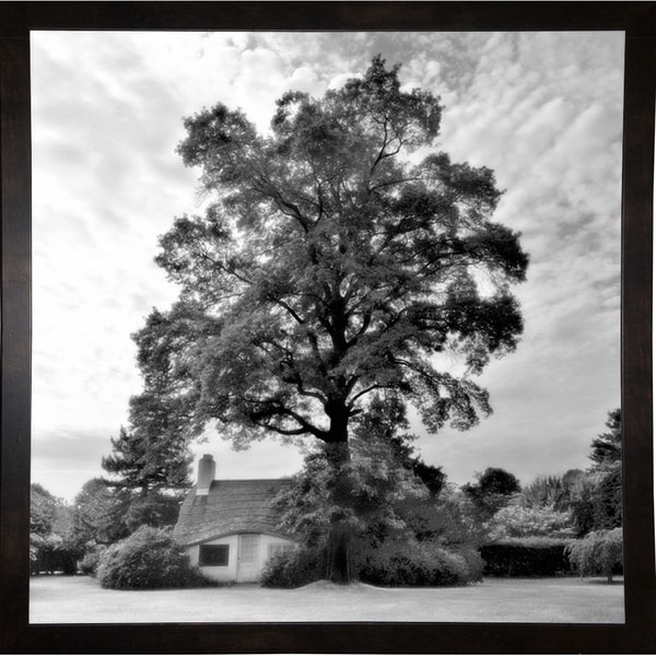 Tree With House-HARTRE75635 Print 20"x20" by Harold Silverman - Trees & Old Fences