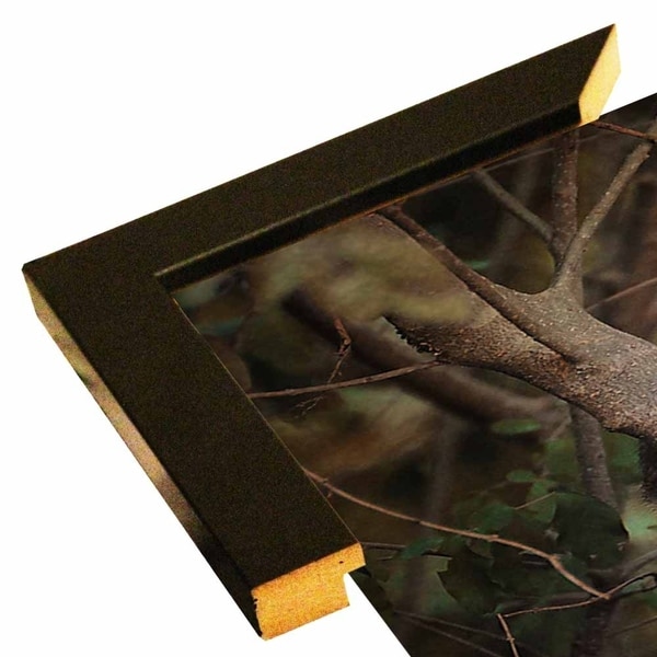 Camera Shy Squirrel-JAIJOH139711 Print 13.25"x10.75" by Jai Johnson