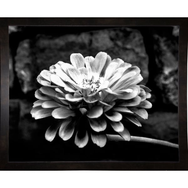 Flower & Stem-HARFLO58528 Print 10"x15" by Harold Silverman - Flowers