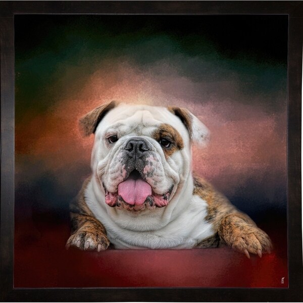Bulldog Hanging Out-JAIJOH139705 Print 20"x20" by Jai Johnson