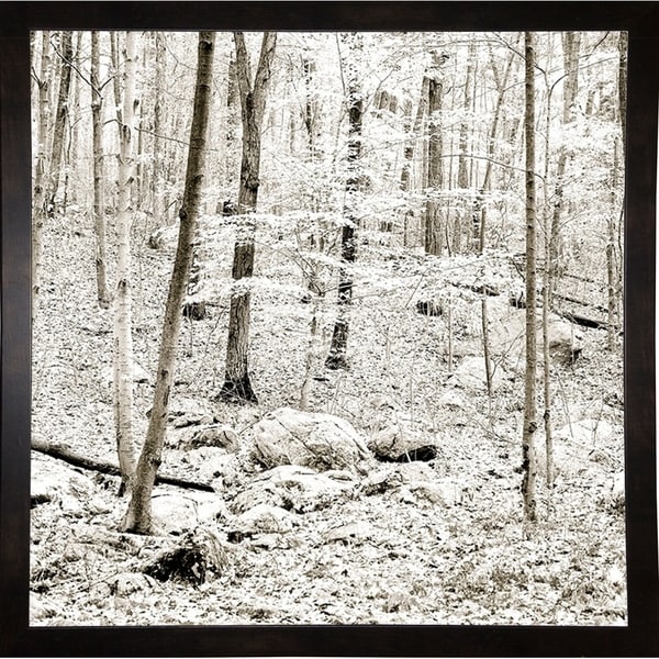 Woods Light - Tones-HARTRE68904 Print 12"x12" by Harold Silverman - Trees & Old Fences