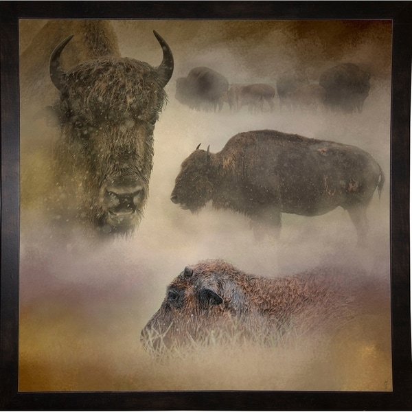 Buffalo Dreams-JAIJOH139704 Print 20"x20" by Jai Johnson