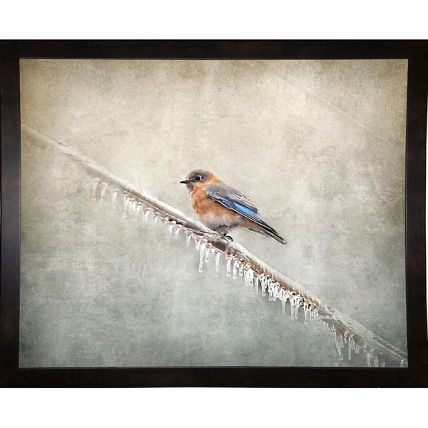 Bluebird Braving The Cold-JAIJOH139688 Print 10.75"x13.25" by Jai Johnson