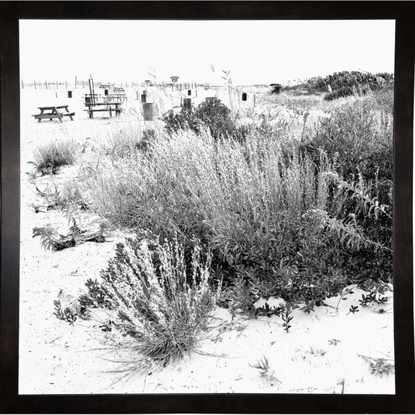 Beach Foliage Soft Focus-HARBEA80578 Print 20"x20" by Harold Silverman - Beach, Palms & Lighthouses