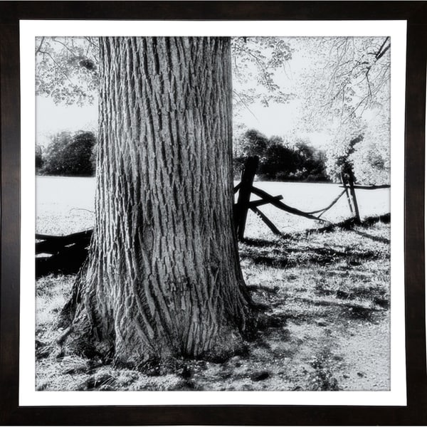 Old Foto Tone Soft Design-HARTRE80584 Print 19"x19" by Harold Silverman - Trees & Old Fences