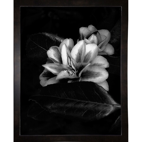 Leather-HARFLO50331 Print 14"x11" by Harold Silverman - Flowers