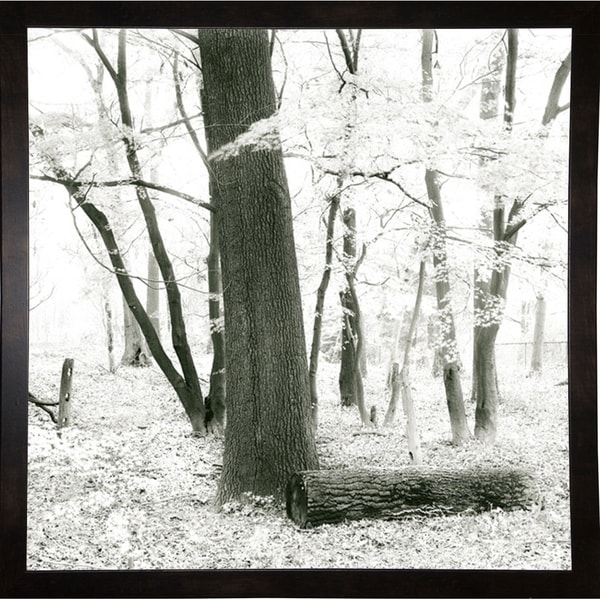 Deep Woods Pl. 3-HARTRE61314 Print 20"x20" by Harold Silverman - Trees & Old Fences