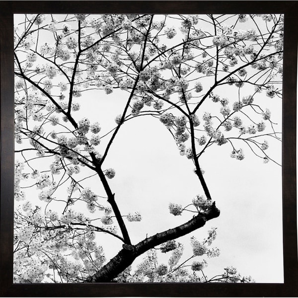 Cherry Blossom Time-HARTRE57459 Print 12"x12" by Harold Silverman - Trees & Old Fences