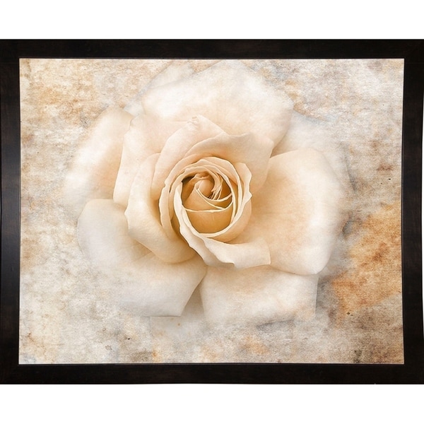 Vintage Rose 5-JAIJOH140131 Print 10.75"x13.25" by Jai Johnson