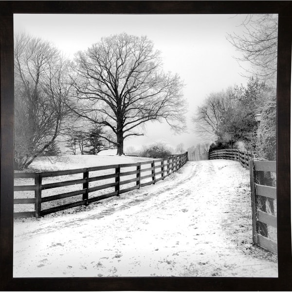 Greys Of Winter-HARTRE78038 Print 20"x20" by Harold Silverman - Trees & Old Fences