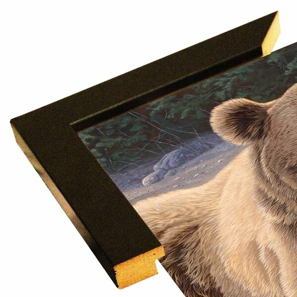 Cool Down - Grizzly-JEFHOF137956 Print 20"x16" by Jeffrey Hoff